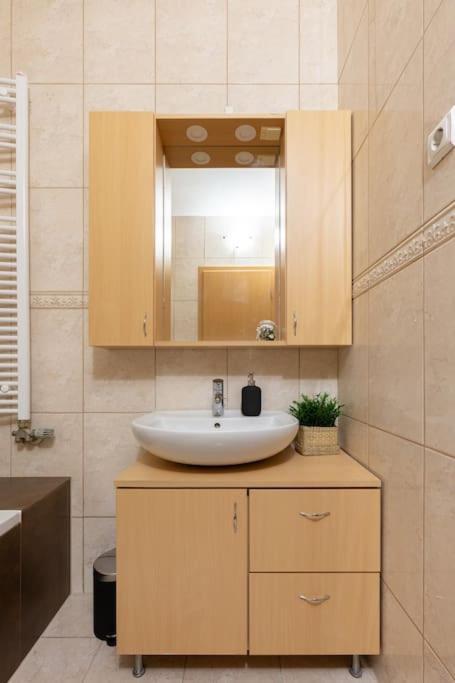 בודפשט S22 Apartment מראה חיצוני תמונה